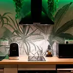 L'oasis Tropicale, Jacuzzi, * Roppenheim