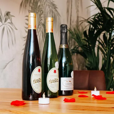 L'oasis Tropicale, Jacuzzi, Apartment Roppenheim